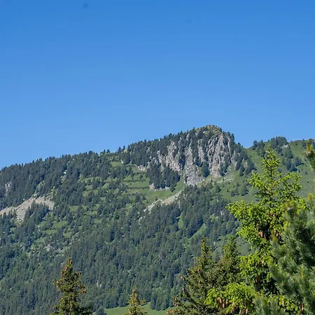 Ruebezahl Attika Riederalp